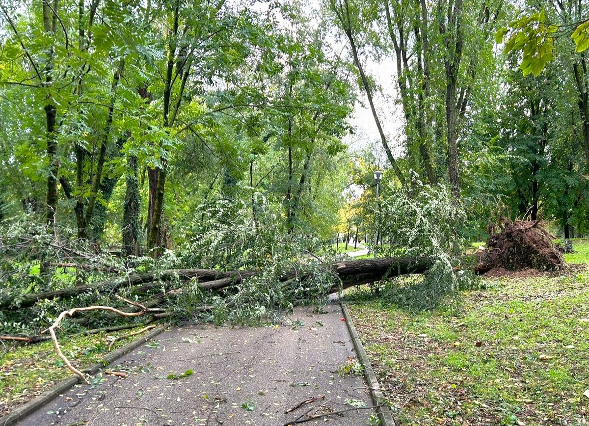 Terni, maltempo: cade albero al parco Le Grazie