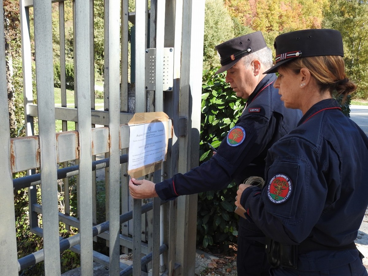 Denunciato titolare di un allevamento di trote in Valnerina