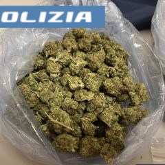 Nasconde quasi mezzo chilo di droga: arrestato commerciante di Foligno