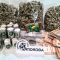 Terni: base di spaccio in zona Cinque Strade. Arrestato 29enne ternano con 2,5 chili di droga e 27 mila euro