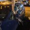 Terni, ramo precipita su auto. Proprietario illeso: «Mettere in sicurezza l’area»