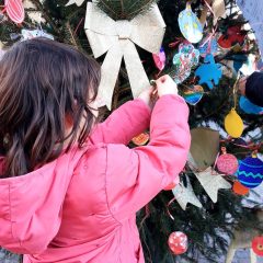 Terni, anche piazza della Pace ha il suo albero di Natale