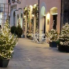 Natale a Terni: in via Roma commercianti in azione per renderla più bella