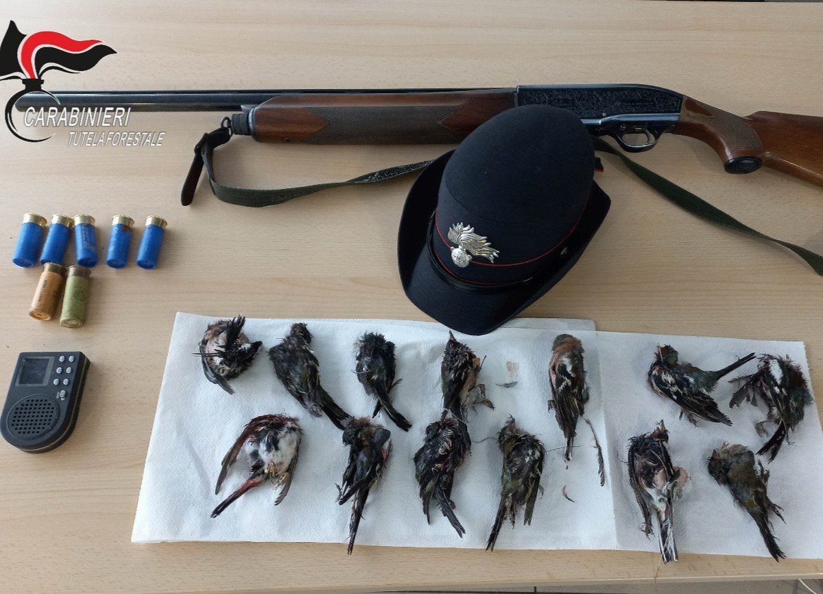Controlli sulla caccia: la stagione si chiude con 17 denunce e 30 mila euro di sanzioni