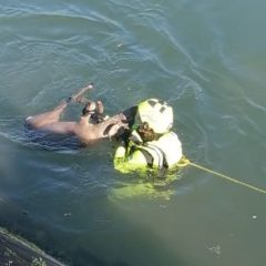 Terni: cucciolo di capriolo salvato nel canale di Recentino
