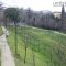 Terni, parco Ciaurro: c’è ‘Sei zampe in città’. Corso pratico sui cani e gli spazi urbani/sociali