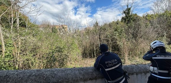 Comune Terni, polizia Locale: nuovo funzionario in arrivo