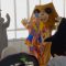 Terni: pomeriggio di allegria con il circo a Collerolletta – Video