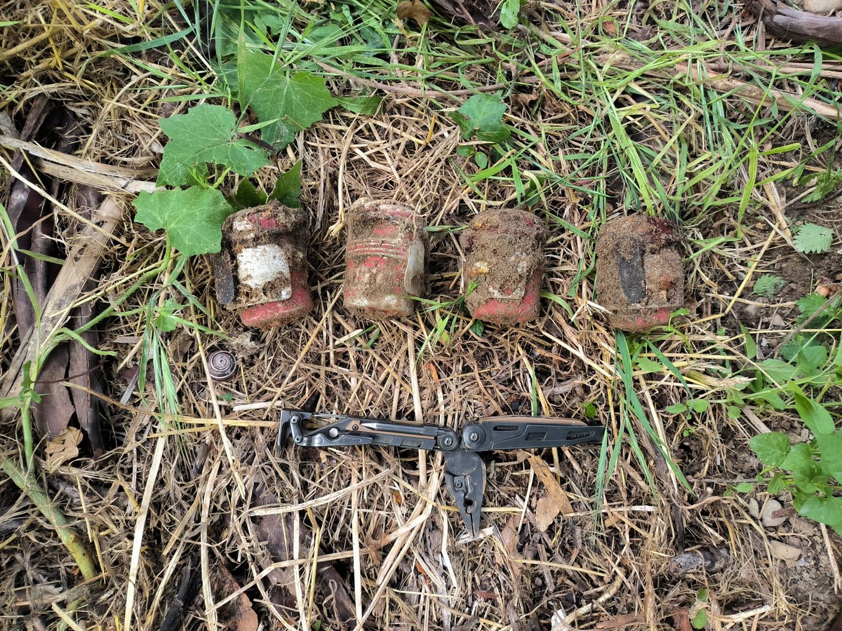 Trova quattro bombe a mano nel giardino di casa. Arrivano gli artificieri