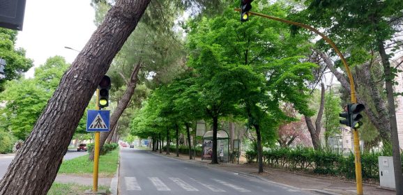 Terni, via Alfonsine: Afor entra in azione per abbattere i pini