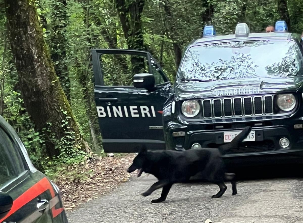 Boschi-bivacchi fra Terni e Spoleto: maxi attività dei carabinieri per ‘liberarli’