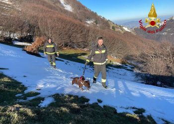 Monte Cucco: cane tratto in salvo dai vigili del fuoco