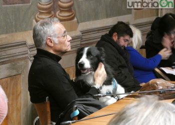 Terni, polizia Locale: tempi più lunghi per le nuove assunzioni
