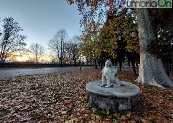 Comune Terni, appalto verde: cambia la storia. Riesame, annullate due ammissioni e Alfa in testa