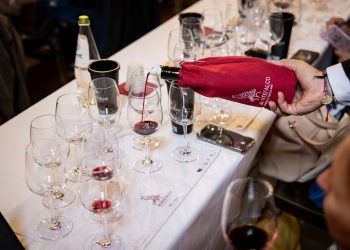 «Un 2024 alla grande per i vini di Montefalco e Spoleto»