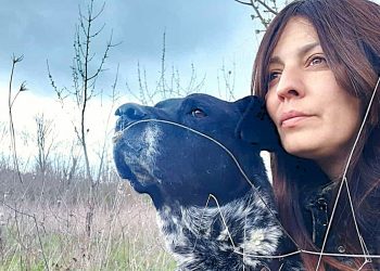 Aggredita per i cani da caccia: 52enne denunciato dai carabinieri