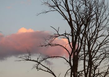 Amelia: in centro storico le fotografie di Emanuele Grilli