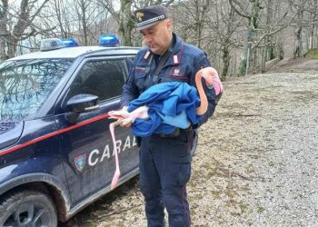 Strage di fenicotteri rosa al confine tra Umbria e Marche
