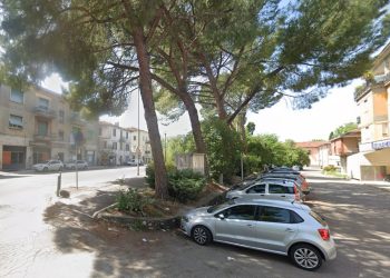Terni, via Narni: si abbattono alberi, cambia la viabilità