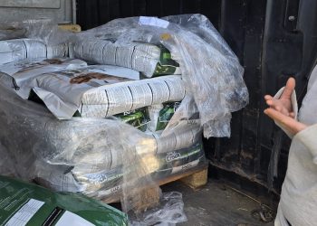 Terni: la Fondazione Sbrolli dona alimenti per cani e gatti al Wwf. «In ricordo di Luca»