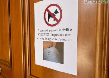 Feci nel duomo di Terni: arriva lo ‘stop’ ai cani. «E dopo il divieto è andata anche peggio» – Video