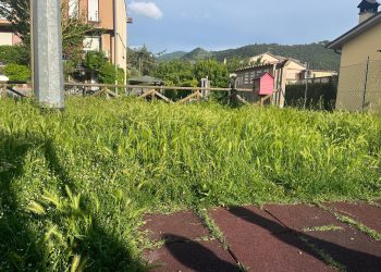 Montefranco: erba alta a Fontechiaruccia. «Disagi per famiglie e bambini. Si agisca»