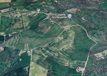Montecastrilli, via libera a maxi impianto agrivoltaico da 11.431 Kw. In azione società di Rovigo