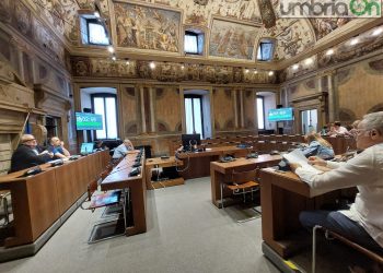 Terni, ‘nuovo’ stadio Liberati da 43 milioni: «Garanzia fidejussoria per l’intero importo»
