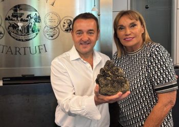 Trovato a Montefalco un tartufo-record da quasi un chilo e mezzo. Volerà a New York