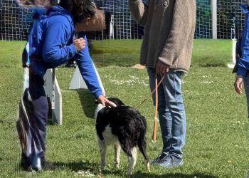Tutto pronto alla Comunità Incontro per la 3° ‘Giornata del cinofilo’