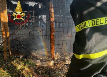 Incendio di sterpaglie e plastiche uccide due cani