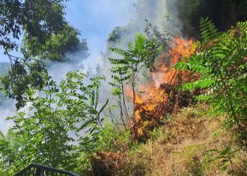 Stroncone: incendio lungo il percorso delle antiche mura