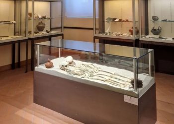 Archeologia e sviluppo industriale: al Caos la collezione Luigi Lanzi