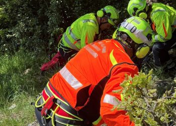 Infortunio nei boschi di Spoleto: tartufaio soccorso da Sasu e 118