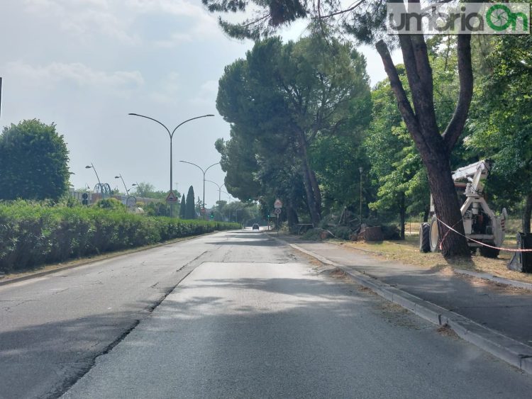 Il risultato dopo il 1° giorno di lavoro