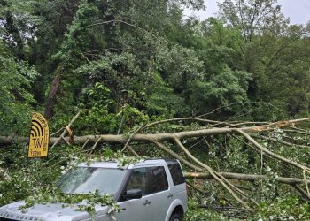 Maltempo a Terni: albero cade sulla statale Valnerina. Traffico interrotto