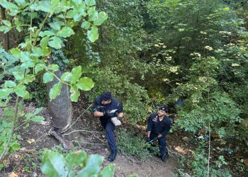 Terni: droga e coltelli nei boschi di Miranda. La scoperta dei carabinieri