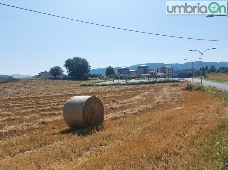 Il quartiere di Cospea Alta