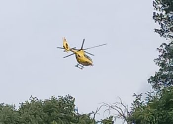 Nibbio in volo su Terni: sono le ‘prove’ per il servizio h24