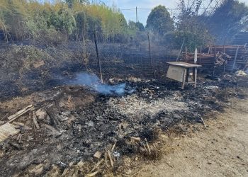 Vasti roghi a San Martino in Colle. Danneggiate anche strutture agricole
