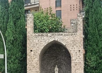 «Ancora il fico selvatico sul torrione del bastione di via Battisti»