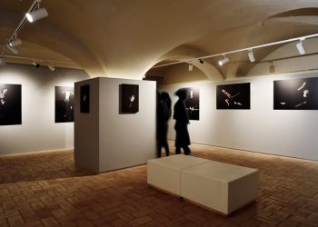 Todi: ultimi giorni per la mostra ‘Lasciamoli andare’ di Nicola Severino