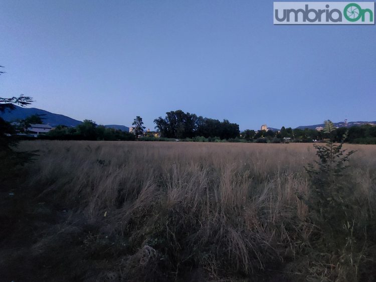 Il terreno per l'eventuale clinica