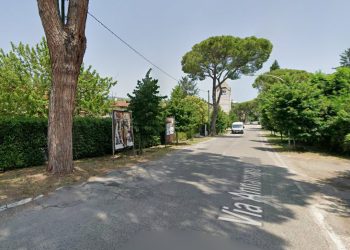 Terni, via Mozzoni: si abbattono tutti i pini. Bandecchi firma l’ordinanza