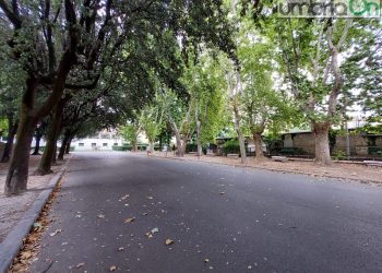 Terni, ‘Passeggiata’: firma su 18 abbattimenti di alberi. Sono ippocastani, tigli, cipressi e pini