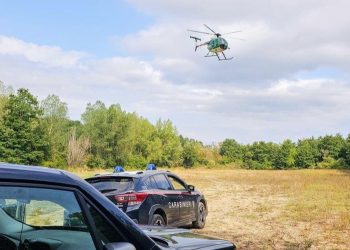 Avigliano Umbro e Montecastrilli: boschi al setaccio per scovare spacciatori
