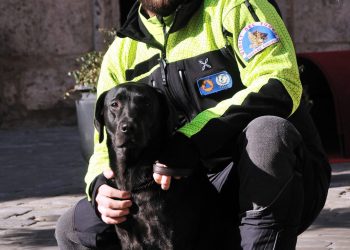 Terni, addio a Dana. Per anni a fianco dei vigili del fuoco: «Lascia ricordo indelebile»