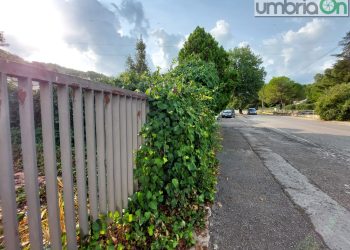 Terni, via Ippocrate-Galeno di Pergamo: sos per verde e igiene
