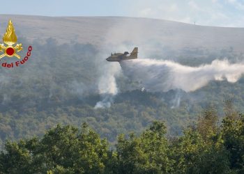 Bosco in fiamme a Sant’Anatolia di Narco: sotto controllo l’incendio sul Monte Coscerno