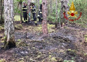 Monteleone di Spoleto: incendio boschivo domato dopo un lungo intervento